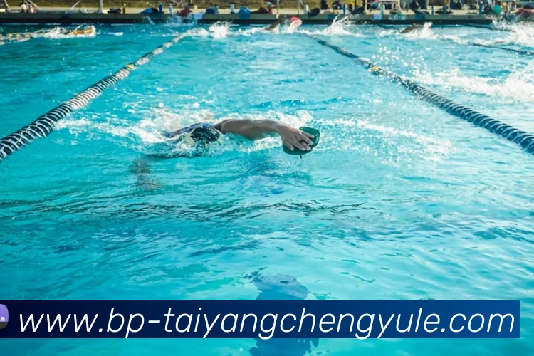 太阳城网站APP 封面图